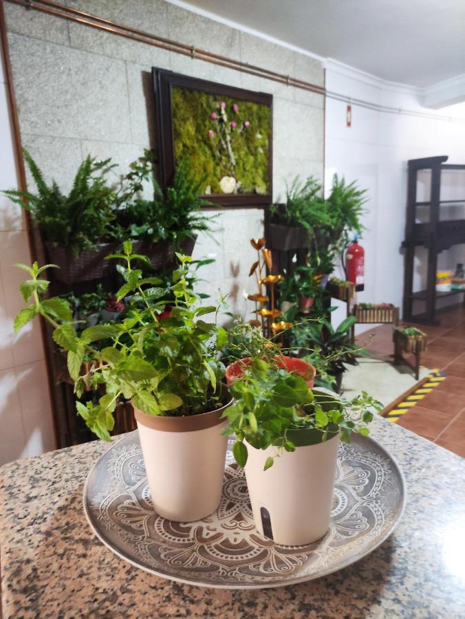 Zimao Garden House Hotel Vila Pouca de Aguiar Kültér fotó